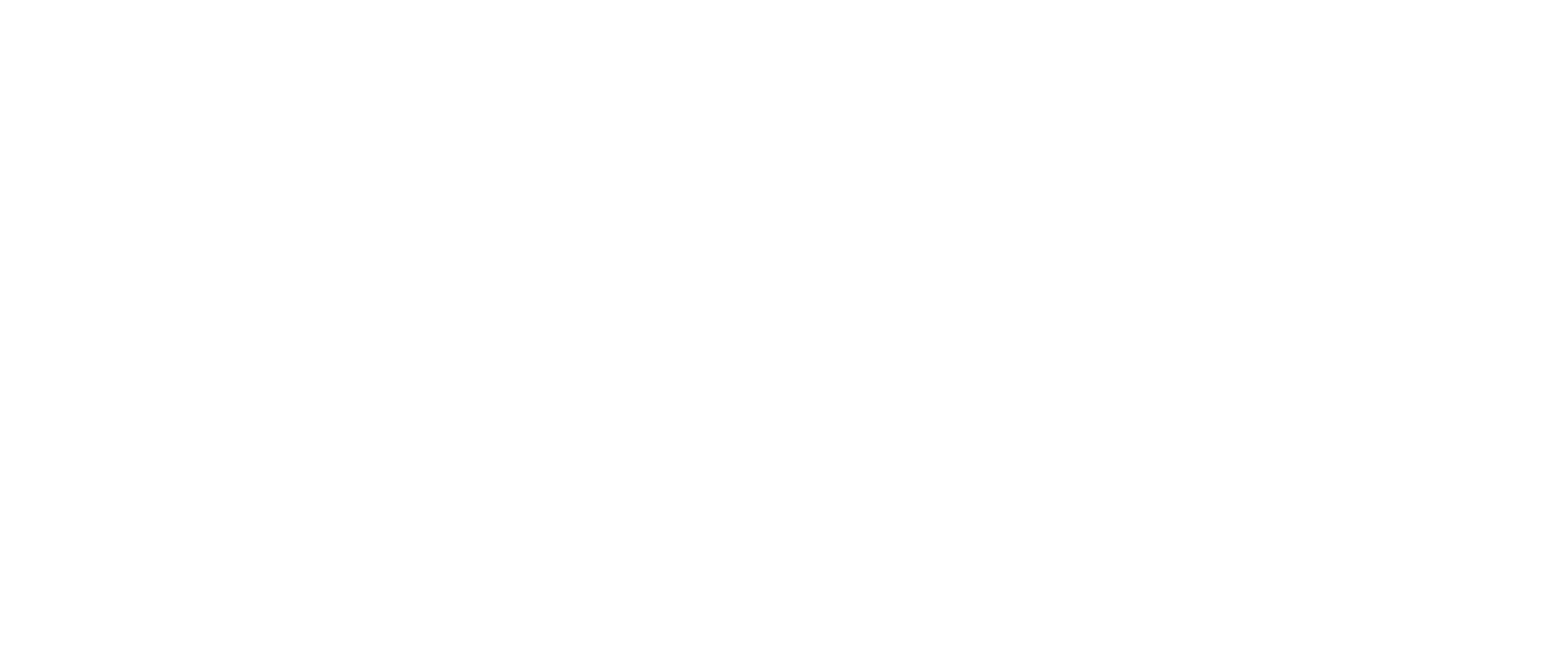 Lorand Pleiner